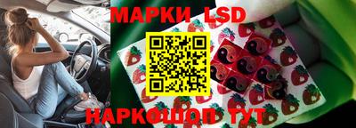 молекула духа Кулебаки