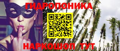 молекула духа Кулебаки
