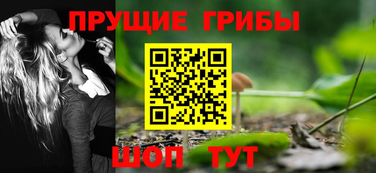 Псилоцибиновые грибы MAGIC MUSHROOMS  Вход с VPN  Псилоцибиновые грибы Cubensis  Черкесск 